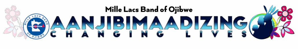 Aanjibimaadizing